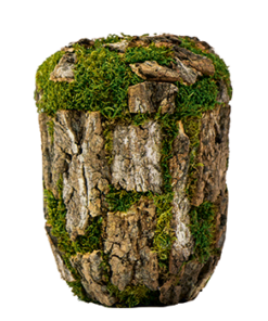urne i naturlig bark